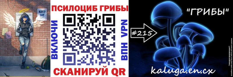 Псилоцибиновые грибы прущие грибы  хочу   Брянск 